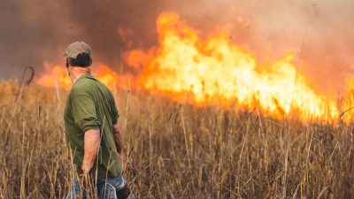 wildlife-management-assistance