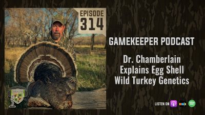 EP:314 | Dr. Chamberlain Explains Egg Shell Wild Turkey Genetics