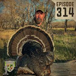 EP:314 | Dr. Chamberlain Explains Egg Shell Wild Turkey Genetics