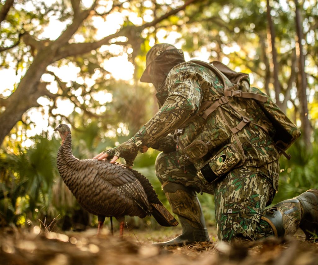 setting-up-turkey-decoys