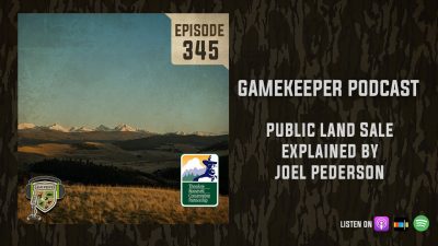 EP:345 | Public Land Sale Explained by Joel Pederson