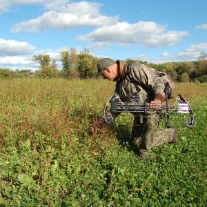 The Reason For Food Plot Diversity