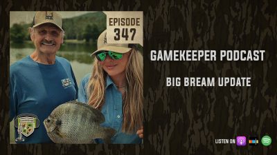 EP:347 | Big Bream Update