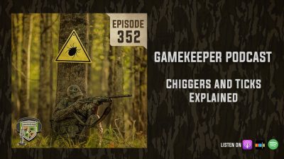 EP:352 | Chiggers and Ticks Explained