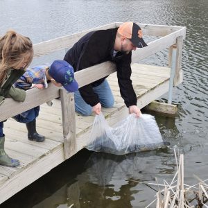 Stocking Your Pond