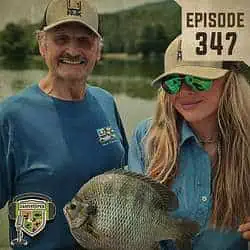 EP:347 | Big Bream Update