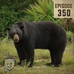 EP:350 | The State of the Florida Bear Hunt
